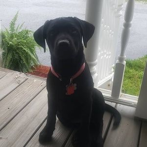 Meet your Posher, Russell